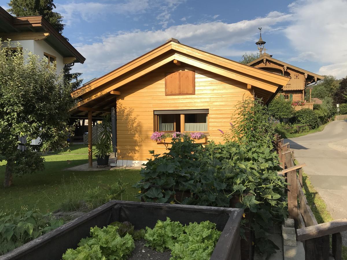 Ferienhaus Hofwimmer كيرشبرغ ان تيرول المظهر الخارجي الصورة
